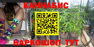 винт Донецк