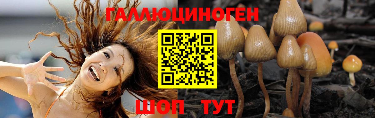 Псилоцибиновые грибы прущие грибы  Галлюциногенные грибы Psilocybe  наркотики  Ливны  Вход с VPN 